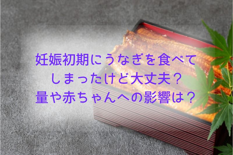 妊娠初期にうなぎを食べてしまったけど大丈夫？量や赤ちゃんへの影響は？