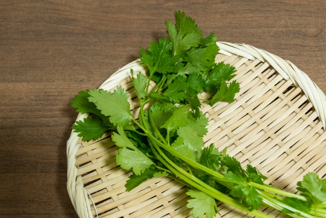 パクチーを妊娠中に食べても大丈夫？食べていい量と避けたいケースを紹介
